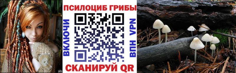 Псилоцибиновые грибы ЛСД  где купить наркоту  блэк спрут сайт  Тырныауз 